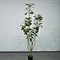 artificial privacy trees